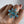 Load image into Gallery viewer, SWISS BLUE TOPAZ ADJUSTABLE RING (MW 278)