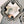 Load image into Gallery viewer, LEANDER TAHE CONCHO EARRINGS