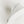 Load image into Gallery viewer, NAVAJO PEARLS BOW NECKLACE 22-24" (MW 177)