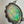 Load image into Gallery viewer, FIRE OPAL DOUBLET ADJUSTABLE NECKLACE 20" (RB 68)