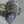 Load image into Gallery viewer, CORN MAIDEN OPAL CUFF (W FLEX) (LB 89)