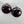 Load image into Gallery viewer, TIMOTHY YAZZIE NAVAJO PURPLE SPINY SCALLOP CIRCLE STUD EARRINGS (CO 13)