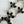 Load image into Gallery viewer, BLACK ONYX STATEMENT HESPERA LARIAT  16-20" (MW 246)