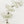 Load image into Gallery viewer, PHRENITE LEAVES TOGGLE BRACELET 6-8" (PW 6)