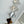 Load image into Gallery viewer, MOTHER OF PEARL CLOVER SHAPED BEADS STATEMENT NECKLACE 44" (VAN CLEEF INSPIRED) (MW 257)