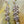 Load image into Gallery viewer, WHITE TOPAZ ANNIVERSARY DANGLY EARRINGS