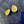 Load image into Gallery viewer, BLUE KYANITE DROP STUDS