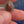 Load and play video in Gallery viewer, RED TIGER'S EYE DROP STUDS