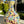 Load image into Gallery viewer, CLOISONNE VASES