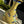 Load image into Gallery viewer, CLOISONNE VASES