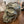 Load image into Gallery viewer, PYRITE SKULLS