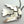 Load image into Gallery viewer, RUSSELL SAM BLUE RIDGE TURQUOISE THUNDERBIRD ADJUSTABLE NECKLACE 20" (NP 20)
