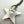 Load image into Gallery viewer, P. WILLIAMS BLACKJACK TURQUOISE STAR ADJ NECKLACE 20" (LA 16)
