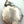 Load image into Gallery viewer, ✨ LUXURY RAFFLE ✨NATIVE HANDMADE RED SPINY OYSTER CHIEF PENDANT BY LYLE PIASO ($400)
