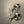 Load image into Gallery viewer, NATIVE HANDMADE LANDER BLUE TURQUOISE ZUNI BEAR FISHHOOK EARRINGS STAMPED MS (LB 22)
