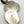 Load image into Gallery viewer, STERLING SILVER STATEMENT CACTUS PENDANT IN KINGMAN TURQUOISE &amp; ORANGE SPINY OYSTER BY SHAY PFEIFFER (MW 458)
