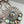 Load image into Gallery viewer, STERLING SILVER ABALONE SHELL EVIL EYE HESPERA POST BACK EARRINGS (JR 86)
