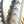 Load image into Gallery viewer, GILBERT NEZ SONORAN GOLD TURQUOISE NATIVE HANDMADE SQUASH BLOSSOM 30" (TC 10)
