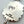 Load image into Gallery viewer, SONORAN GOLD TURQUOISE CLUSTER NATIVE HANDMADE LARIAT BY CHARLES JOHNSON (UP TO 19") (NP 9)
