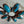 Load image into Gallery viewer, SPINY TURQUOISE ADJUSTABLE FLOWER CUFF BY HESPERA (JR 64)
