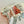 Load image into Gallery viewer, NATIVE HANDMADE ORANGE SPINY OYSTER STATEMENT BUTTERFLY RING SIZE 9 BY DARLENE BEGAY (RN 1)
