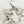 Load image into Gallery viewer, PHRENITE LEAVES TOGGLE BRACELET 6-8&quot; (PW 6)

