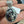 Load image into Gallery viewer, 21 // BLACKJACK TURQUOISE GILBERT NEZ PENDANTS
