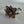 Load image into Gallery viewer, FACETED ABALONE SHELL CLUSTER STERLING SILVER HESPERA CUFF (JR 67)
