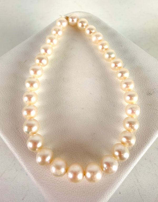 FRESHWATER PEARL STRETCH BRACELET (CO 100)