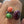 Load image into Gallery viewer, TRIPLE STONE SPINY &amp; PIXIE ADJUSTABLE WRAPAROUND RING (JR 111)
